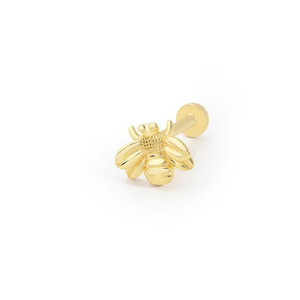 Arı Tragus 14 Ayar Altın Piercing