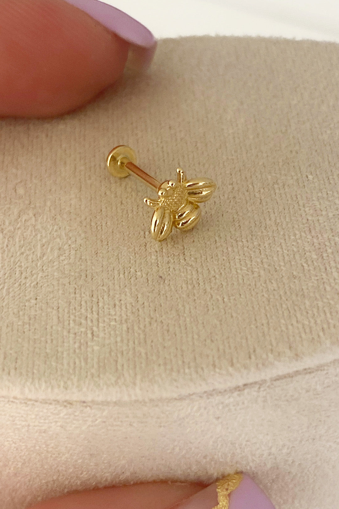 Arı Tragus 14 Ayar Altın Piercing