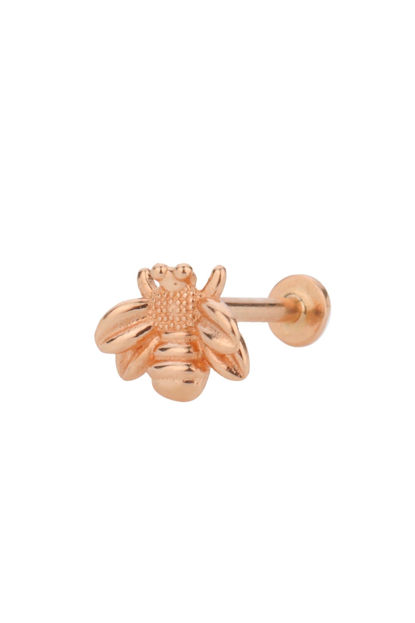 Arı Tragus 14 Ayar Altın Piercing