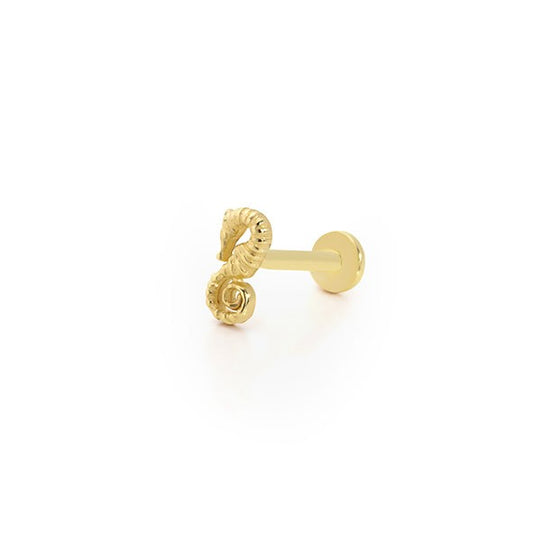 Desenli Denizatı Tragus 14 Ayar Altın Piercing