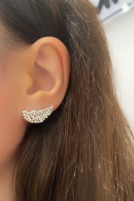 Vip Taşlı Yarım Ay Gümüş Çivili Küpe